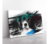 Big Box Art Border Collie Dog 2 V2 Canvas Wall Art Print Ready to Hang Picture, 76 x 50 cm (30 x 20 Inch), Multi-Coloured