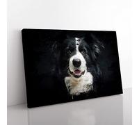 Big Box Art Border Collie Dog (3) Coal Black Canvas Wall Art Print Ready to Hang Picture, 76 x 50 cm (30 x 20 Inch), Multi-Coloured