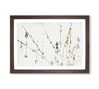 Big Box Art Branches of a Flowering Tree by Hon'ami Koetsu Framed Wall Art Picture Print Ready to Hang, Walnut A2 (62 x 45 cm)