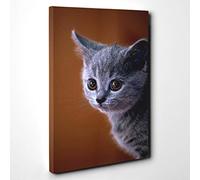 Big Box Art British Blue Shorthair Kitten Cat Canvas Wall Art Print Ready to Hang Picture, 30 x 20 Inch (76 x 50 cm), Multi-Coloured