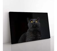 Big Box Art British Shorthair Cat in The Shadows Canvas Wall Art Print Ready to Hang Picture, 76 x 50 cm (30 x 20 Inch), Black