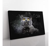 Big Box Art British Shorthair Cat in The Shadows Paint Splash Canvas Wall Art Print Ready to Hang Picture, 76 x 50 cm (30 x 20 Inch), Black