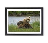 Big Box Art Brown Bear with Cubs (1) Framed Wall Art Picture Print Ready to Hang, Oak A2 (62 x 45 cm)