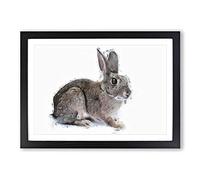 Big Box Art Brown Bunny Rabbit in Abstract Framed Wall Art Picture Print Ready to Hang, Black A2 (62 x 45 cm)