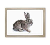 Big Box Art Brown Bunny Rabbit in Abstract Framed Wall Art Picture Print Ready to Hang, Oak A2 (62 x 45 cm)