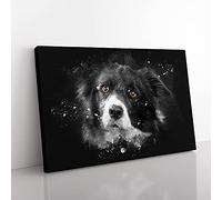 Big Box Art Brown Eyed Border Collie Dog Paint Splash Canvas Wall Art Print Ready to Hang Picture, 76 x 50 cm (30 x 20 Inch), Black, Grey