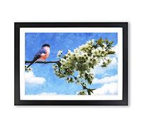 Big Box Art Bullfinch Bird On A Tree Painting Framed Wall Art Picture Print Ready to Hang, Black A2 (62 x 45 cm)