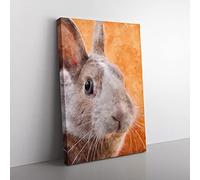 Big Box Art Bunny Rabbit in Colour Painting Canvas Wall Art Print Ready to Hang Picture, 76 x 50 cm (30 x 20 Inch), Pink, Orange, Brown