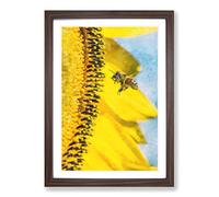Big Box Art Busy Bee & Yellow Flower Painting Framed Wall Art Picture Print Ready to Hang, Walnut A2 (62 x 45 cm)