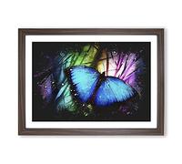 Big Box Art Butterfly Vol.6 Paint Splash Framed Wall Art Picture Print Ready to Hang, Walnut A2 (62 x 45 cm)