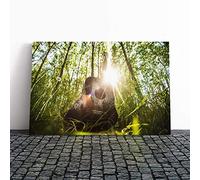 Big Box Art Canvas Print Wall Art Acoustic Guitar | Mounted and Stretched Box Frame Picture | Home Decor for Kitchen, Living, Dining Room, Bedroom, Hallway, Multi-Colour, 30x20 Inch
