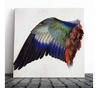 Big Box Art Canvas Print Wall Art Albrecht Durer Crane's Wing | Mounted and Stretched Box Frame Picture | Home Decor for Kitchen, Living, Dining Room, Bedroom, Hallway, Muli-Colour, 14x14 Inch