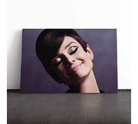 Big Box Art Canvas Print Wall Art Audrey Hepburn (4) | Mounted and Stretched Box Frame Picture | Home Decor for Kitchen, Living, Dining Room, Bedroom, Hallway, Multi-Colour, 20x14 Inch