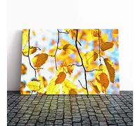 Big Box Art Canvas Print Wall Art Autumn Leaves | Mounted and Stretched Box Frame Picture | Home Decor for Kitchen, Living, Dining Room, Bedroom, Hallway, Multi-Colour, 24x16 Inch