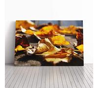 Big Box Art Canvas Print Wall Art Autumn Leaves on The Ground | Mounted and Stretched Box Frame Picture | Home Decor for Kitchen, Living, Dining Room, Bedroom, Hallway, Multi-Colour, 30x20 Inch