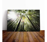 Big Box Art Canvas Print Wall Art Bamboo Forest | Mounted and Stretched Box Frame Picture | Home Decor for Kitchen, Living, Dining Room, Bedroom, Hallway, Multi-Colour, 24x16 Inch