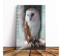 Big Box Art Canvas Print Wall Art Barn Owl | Mounted and Stretched Box Frame Picture | Home Decor for Kitchen, Living, Dining Room, Bedroom, Hallway, Multi-Colour, 24x16 Inch