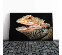 Big Box Art Canvas Print Wall Art Bearded Dragon Lizard | Mounted and Stretched Box Frame Picture | Home Decor for Kitchen, Living, Dining Room, Bedroom, Hallway, Multi-Colour, 24x16 Inch