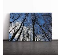 Big Box Art Canvas Print Wall Art Beautiful Forest Woodland (5) | Mounted and Stretched Box Frame Picture | Home Decor for Kitchen, Living, Dining Room, Bedroom, Hallway, Multi-Colour, 24x16 Inch