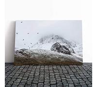 Big Box Art Canvas Print Wall Art Birds in The Cold Fog | Mounted and Stretched Box Frame Picture | Home Decor for Kitchen, Living, Dining Room, Bedroom, Hallway, Multi-Colour, 20x14 Inch