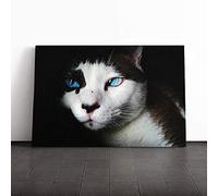 Big Box Art Canvas Print Wall Art Blue Eyed Cat | Mounted and Stretched Box Frame Picture | Home Decor for Kitchen, Living, Dining Room, Bedroom, Hallway, Multi-Colour, 30x20 Inch