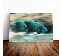 Big Box Art Canvas Print Wall Art Blue Fish | Mounted and Stretched Box Frame Picture | Home Decor for Kitchen, Living, Dining Room, Bedroom, Hallway, Multi-Colour, 20x14 Inch