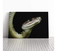 Big Box Art Canvas Print Wall Art Boa Snake | Mounted and Stretched Box Frame Picture | Home Decor for Kitchen, Living, Dining Room, Bedroom, Hallway, Multi-Colour, 30x20 Inch