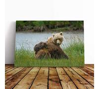 Big Box Art Canvas Print Wall Art Brown Bear with Cubs (1) | Mounted and Stretched Box Frame Picture | Home Decor for Kitchen, Living, Dining Room, Bedroom, Hallway, Multi-Colour, 30x20 Inch