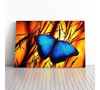 Big Box Art Canvas Print Wall Art Butterfly 6 | Mounted and Stretched Box Frame Picture | Home Decor for Kitchen, Living, Dining Room, Bedroom, Hallway, Multi-Colour, 24x16 Inch