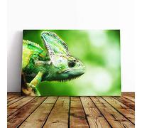 Big Box Art Canvas Print Wall Art Chameleon Lizard (1) | Mounted and Stretched Box Frame Picture | Home Decor for Kitchen, Living, Dining Room, Bedroom, Hallway, Multi-Colour, 24x16 Inch