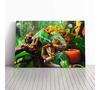Big Box Art Canvas Print Wall Art Chameleon Lizard (2) | Mounted and Stretched Box Frame Picture | Home Decor for Kitchen, Living, Dining Room, Bedroom, Hallway, Multi-Colour, 24x16 Inch