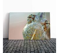 Big Box Art Canvas Print Wall Art Chameleon Lizard Reptile (2) | Mounted and Stretched Box Frame Picture | Home Decor for Kitchen, Living, Dining Room, Bedroom, Hallway, Multi-Colour, 30x20 Inch