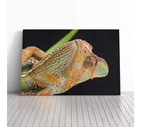 Big Box Art Canvas Print Wall Art Chameleon Lizard Reptile (4) | Mounted and Stretched Box Frame Picture | Home Decor for Kitchen, Living, Dining Room, Bedroom, Hallway, Multi-Colour, 30x20 Inch