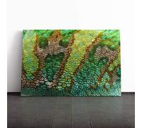 Big Box Art Canvas Print Wall Art Chameleon Lizard Reptile (5) | Mounted and Stretched Box Frame Picture | Home Decor for Kitchen, Living, Dining Room, Bedroom, Hallway, Multi-Colour, 30x20 Inch