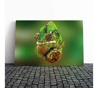 Big Box Art Canvas Print Wall Art Chameleon Lizard Reptile (7) | Mounted and Stretched Box Frame Picture | Home Decor for Kitchen, Living, Dining Room, Bedroom, Hallway, Multi-Colour, 30x20 Inch