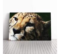 Big Box Art Canvas Print Wall Art Cheetah 6 | Mounted and Stretched Box Frame Picture | Home Decor for Kitchen, Living, Dining Room, Bedroom, Hallway, Multi-Colour, 24x16 Inch