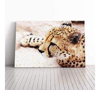 Big Box Art Canvas Print Wall Art Cheetah 7 | Mounted and Stretched Box Frame Picture | Home Decor for Kitchen, Living, Dining Room, Bedroom, Hallway, Multi-Colour, 20x14 Inch