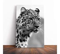 Big Box Art Canvas Print Wall Art Cheetah 8 | Mounted and Stretched Box Frame Picture | Home Decor for Kitchen, Living, Dining Room, Bedroom, Hallway, Multi-Colour, 20x14 Inch