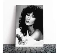 Big Box Art Canvas Print Wall Art Cher | Mounted and Stretched Box Frame Picture | Home Decor for Kitchen, Living, Dining Room, Bedroom, Hallway, Multi-Colour, 24x16 Inch