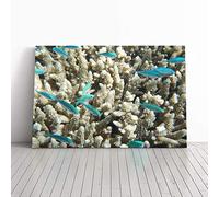 Big Box Art Canvas Print Wall Art Coral Reef Blue Fish | Mounted and Stretched Box Frame Picture | Home Decor for Kitchen, Living, Dining Room, Bedroom, Hallway, Multi-Colour, 20x14 Inch
