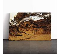 Big Box Art Canvas Print Wall Art Crocodile Eye | Mounted and Stretched Box Frame Picture | Home Decor for Kitchen, Living, Dining Room, Bedroom, Hallway, Multi-Colour, 20x14 Inch