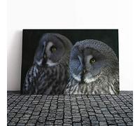 Big Box Art Canvas Print Wall Art Dark Grey Owls Birds | Mounted and Stretched Box Frame Picture | Home Decor for Kitchen, Living, Dining Room, Bedroom, Hallway, Multi-Colour, 24x16 Inch