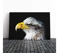 Big Box Art Canvas Print Wall Art Eagle Bird (1) | Mounted and Stretched Box Frame Picture | Home Decor for Kitchen, Living, Dining Room, Bedroom, Hallway, Multi-Colour, 24x16 Inch