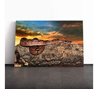 Big Box Art Canvas Print Wall Art Emperor Snake | Mounted and Stretched Box Frame Picture | Home Decor for Kitchen, Living, Dining Room, Bedroom, Hallway, Multi-Colour, 24x16 Inch
