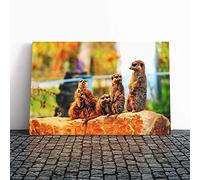 Big Box Art Canvas Print Wall Art Family of Meerkats 2 | Mounted and Stretched Box Frame Picture | Home Decor for Kitchen, Living, Dining Room, Bedroom, Hallway, Multi-Colour, 30x20 Inch