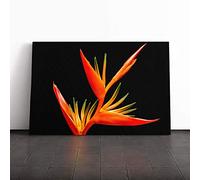 Big Box Art Canvas Print Wall Art Flower Bird of Paradise | Mounted and Stretched Box Frame Picture | Home Decor for Kitchen, Living, Dining Room, Bedroom, Hallway, Multi-Colour, 24x16 Inch