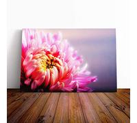 Big Box Art Canvas Print Wall Art Flower Chrysanthemum Pink | Mounted and Stretched Box Frame Picture | Home Decor for Kitchen, Living, Dining Room, Bedroom, Hallway, Multi-Colour, 30x20 Inch