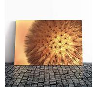Big Box Art Canvas Print Wall Art Flower Dandelion Seeds (2) | Mounted and Stretched Box Frame Picture | Home Decor for Kitchen, Living, Dining Room, Bedroom, Hallway, Multi-Colour, 20x14 Inch