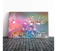 Big Box Art Canvas Print Wall Art Flower Drops of Water on Dandelion Seeds | Mounted & Stretched Box Frame Picture | Home Decor for Kitchen, Living Room, Bedroom, Hallway, Multi-Colour, 20x14 Inch
