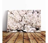 Big Box Art Canvas Print Wall Art Flower Pink Cherry Blossom Sakura Tree | Mounted & Stretched Box Frame Picture | Home Decor for Kitchen, Living Room, Bedroom, Hallway, Multi-Colour, 20x14 Inch